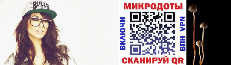 Галлюциногенные грибы прущие грибы  мориарти телеграм  Мезень 